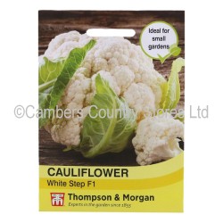 Thompson & Morgan Cauliflower White Step F1